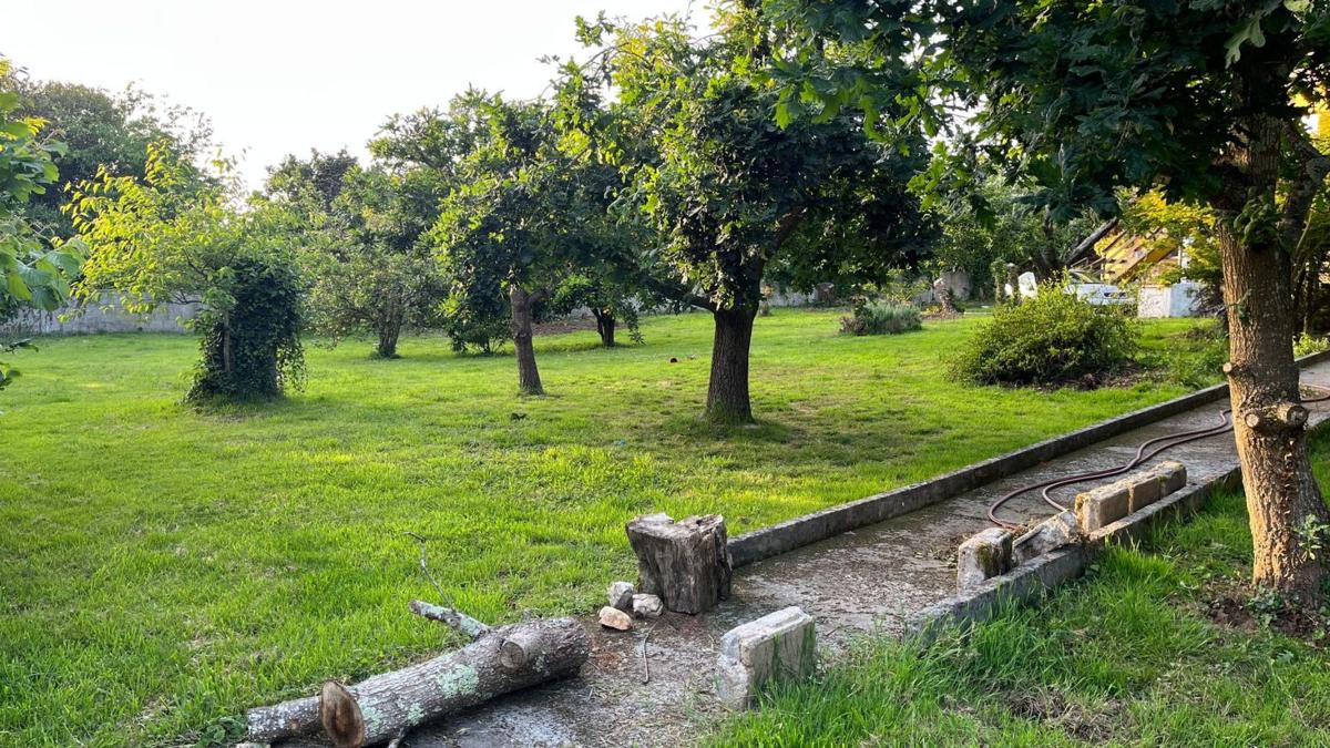 Properties for sale and rent in Spain photo 4