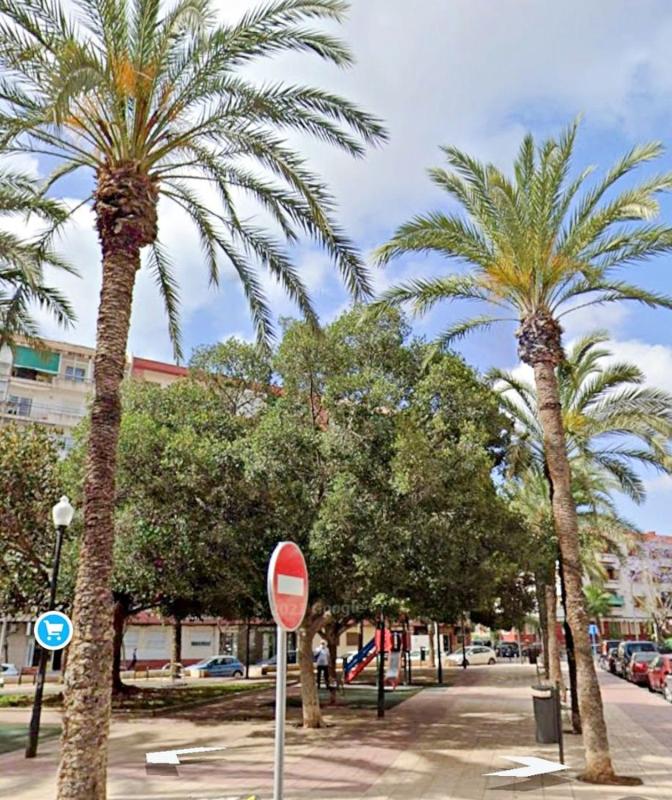 Sale of apartment in Piso en Maestro Luis Torregrosa, Plà del Bon Repòs-La Goteta, Alicante / Alacant, Alicante
 photo 2