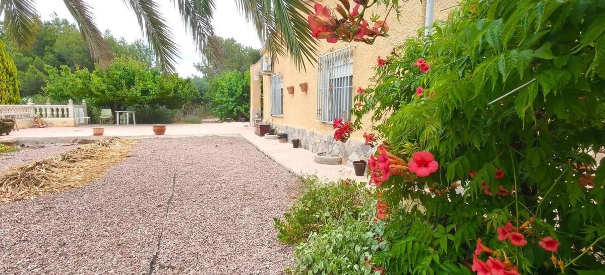 Properties for sale and rent in Spain photo 3