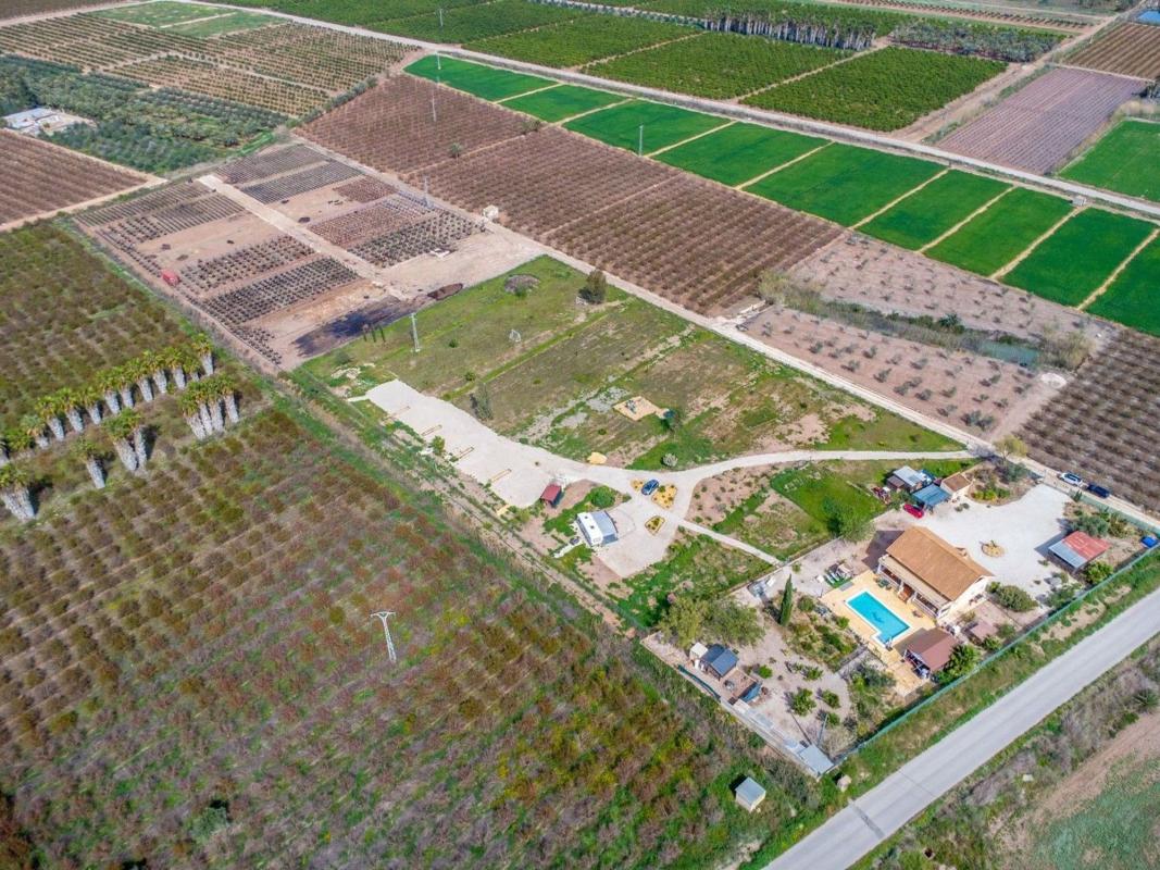 Sale of rural property in Finca rústica en Crevillente , Crevillente photo 3