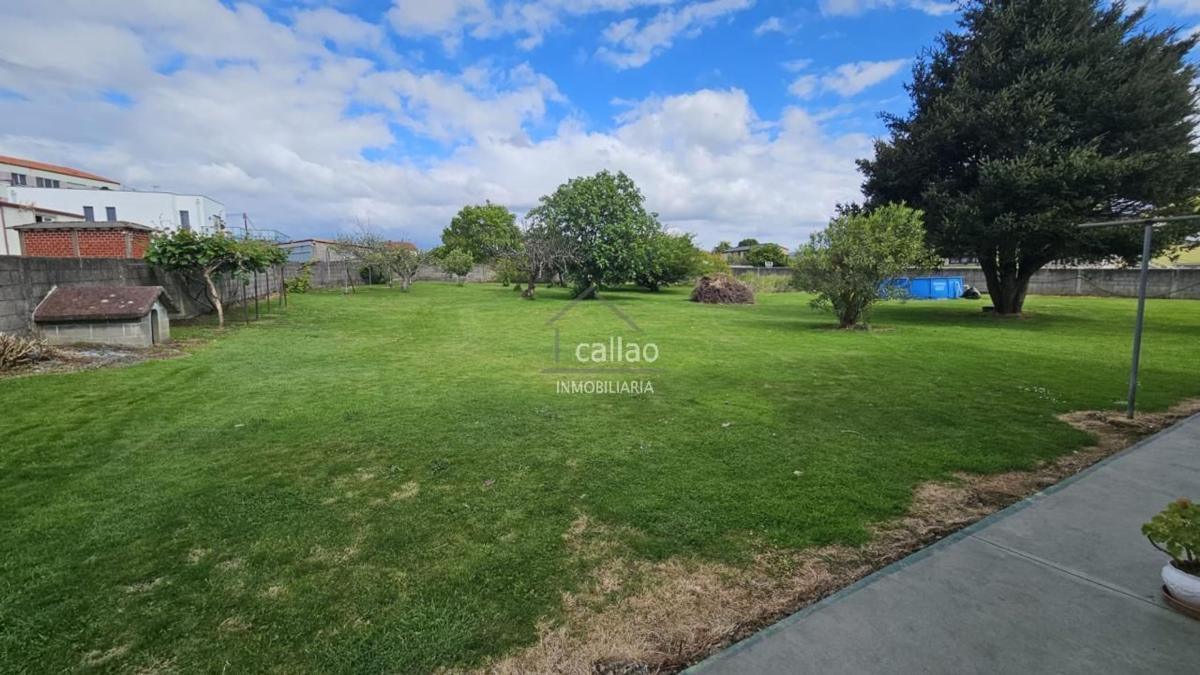 Properties for sale and rent in Spain photo 2
