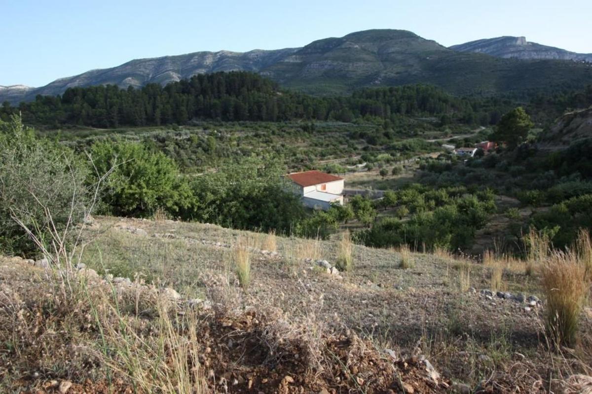 Propiedades en venta y alquiler en España photo 5