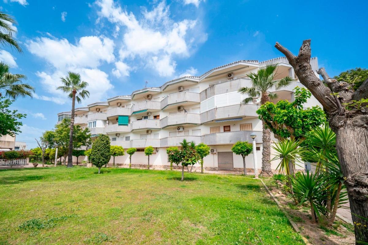 Sale of apartment in Piso en Calle Isla Malᶅorca, 73, La Regia, Orihuela, Orihuela
photo 1