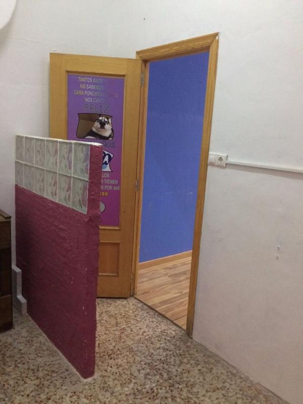 Properties for sale and rent in Spain photo 5