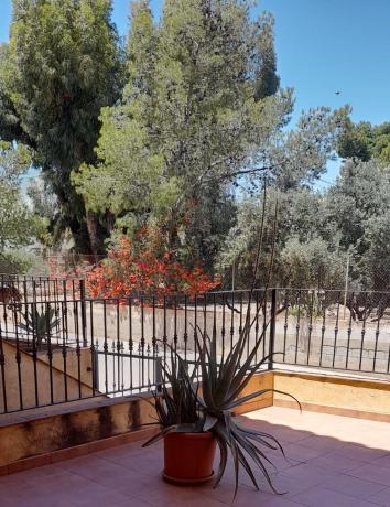 Casa o chalet independiente en Los Martinez, 3, La Murada-Los Vicentes, Orihuela photo 1