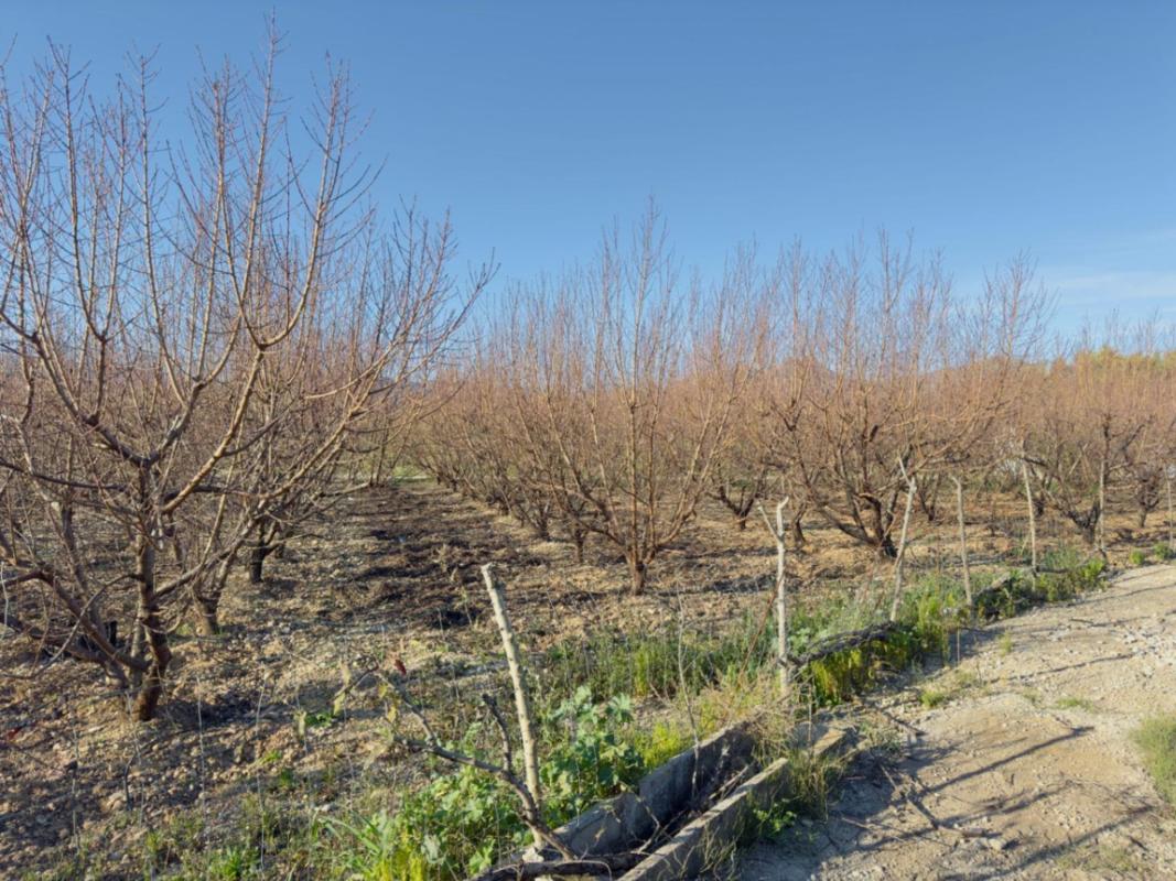 Продажа загородного участка в Finca rústica en Beniarbeig , Бениарбек photo 4