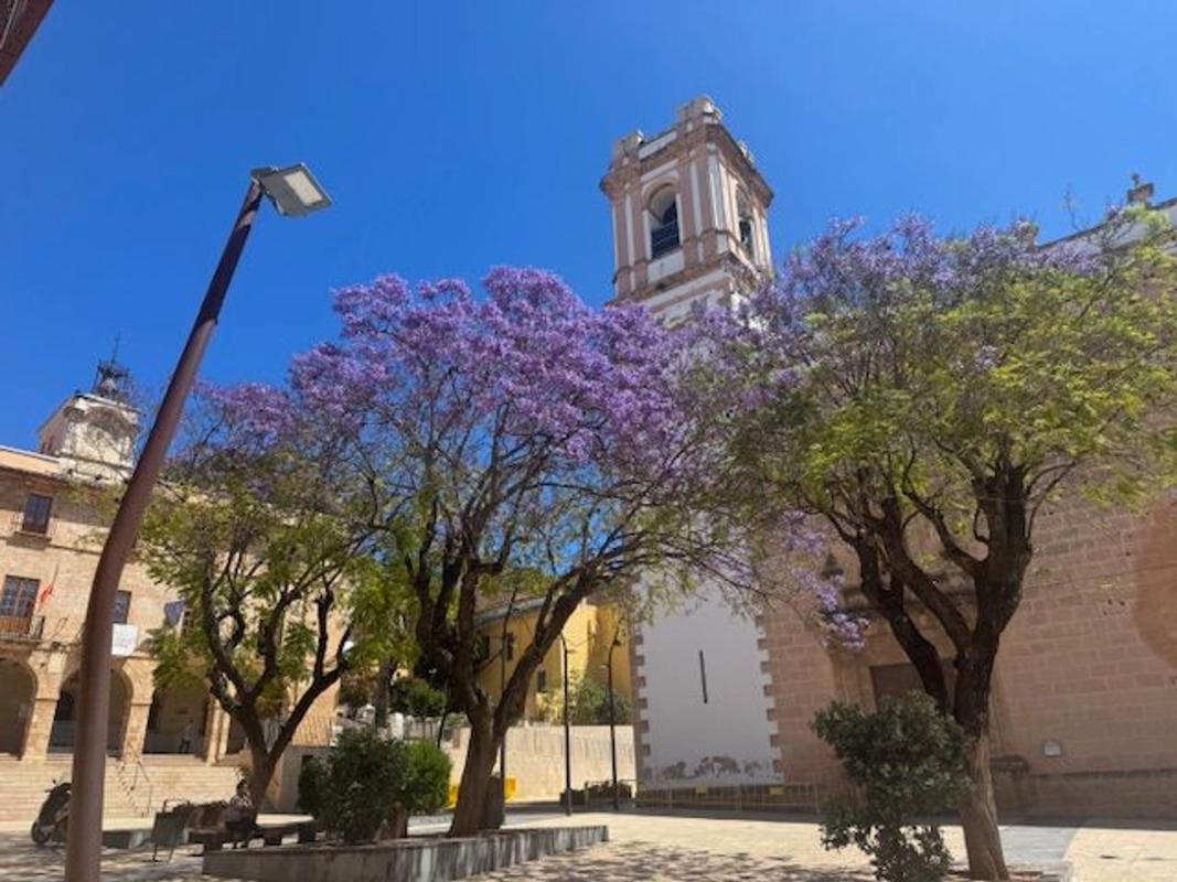 Продажа квартиры на Piso en Centro Urbano, Denia, Дения
photo 1