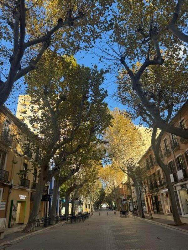 Продажа квартиры на Piso en Centro Urbano, Denia, Дения
photo 3