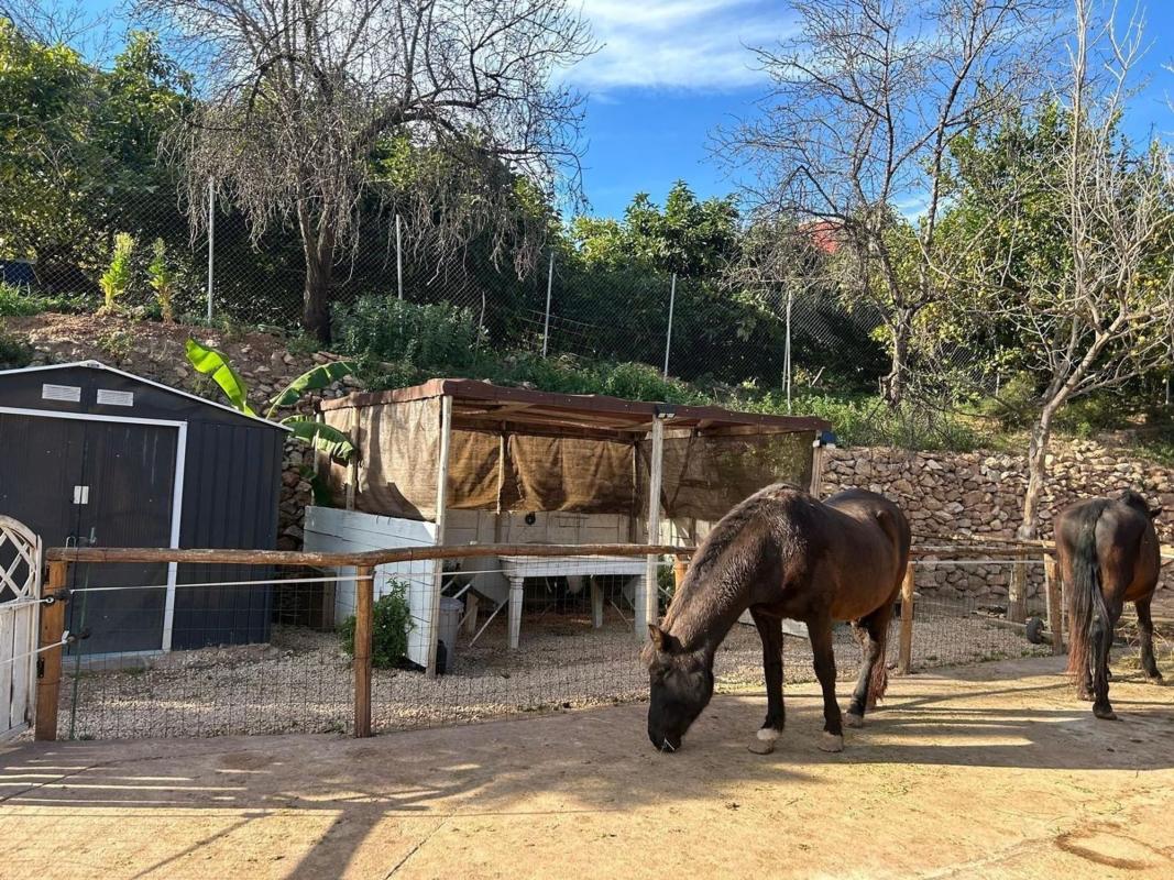 Propiedades en venta y alquiler en España photo 1