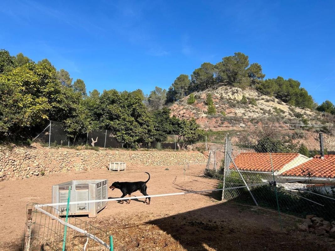 Propiedades en venta y alquiler en España photo 4