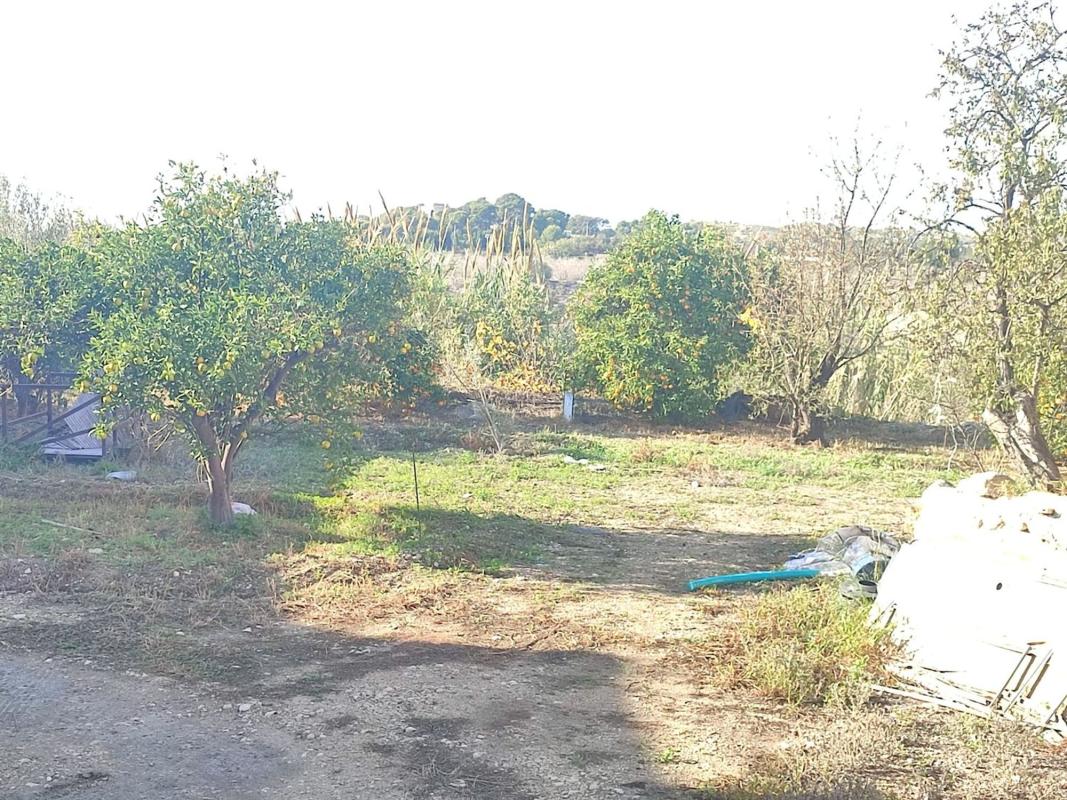 Sprzedaż działki rolnej w Finca rústica en El Secanet - Hacienda del Sol, La Villajoyosa / Vila Joiosa , La Villajoyosa / Vila Joiosa photo 3