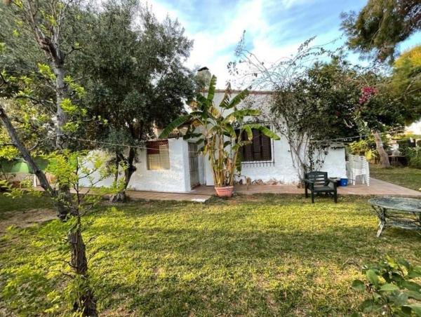 Casa o chalet independiente en Orihuela Ciudad, Orihuela thumbnail 2