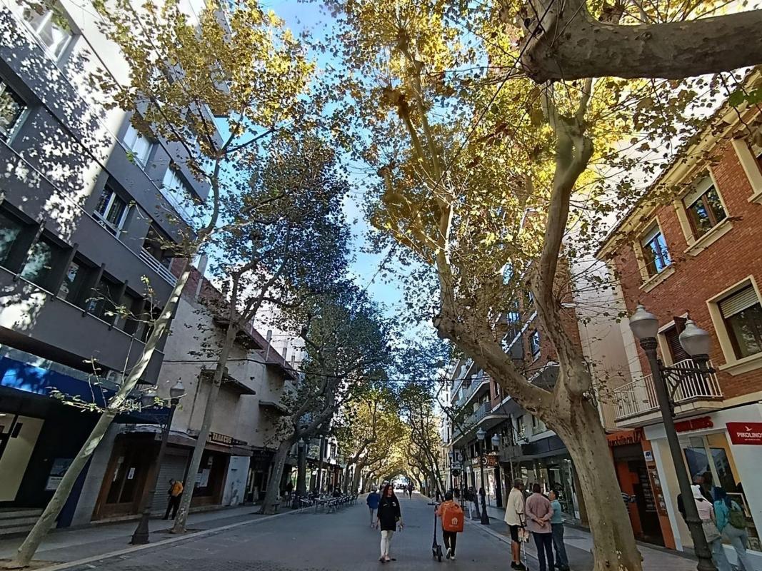 Venta de piso en Piso en Calle del Marqués de Campo, Centro Urbano, Denia, Denia
photo 3