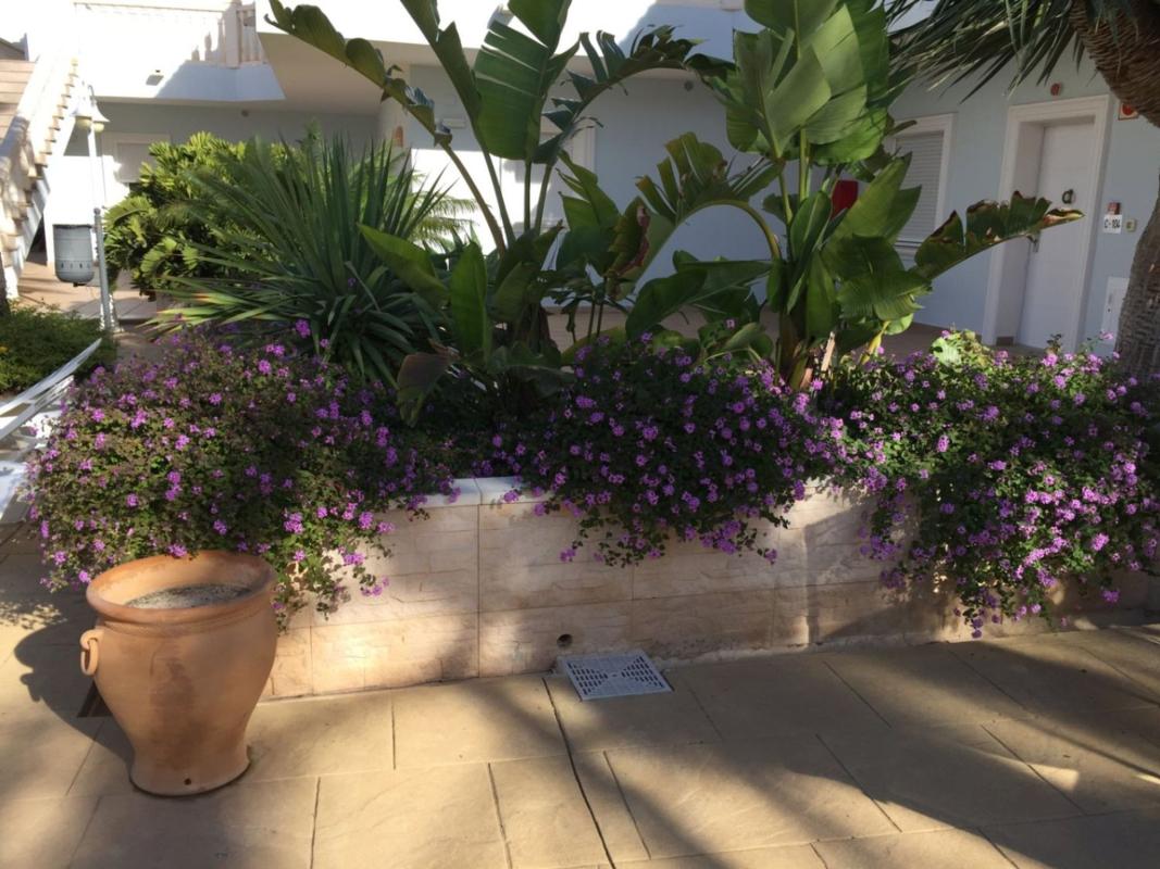 Продажа квартиры на Piso en La Fustera, Benissa, Бенисса
 photo 2