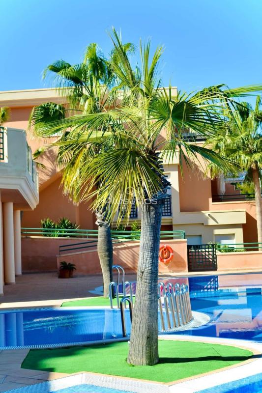 Sale of apartment in Piso en Centro, Pedreguer, Pedreguer
photo 4