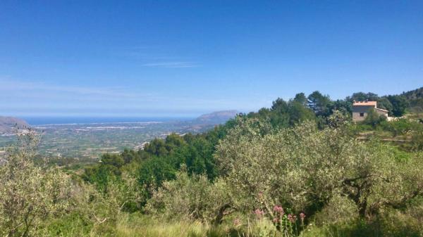 Independent chalet for sale in Casa o chalet en Vall de Laguart, Vall de Laguart
 photo 2