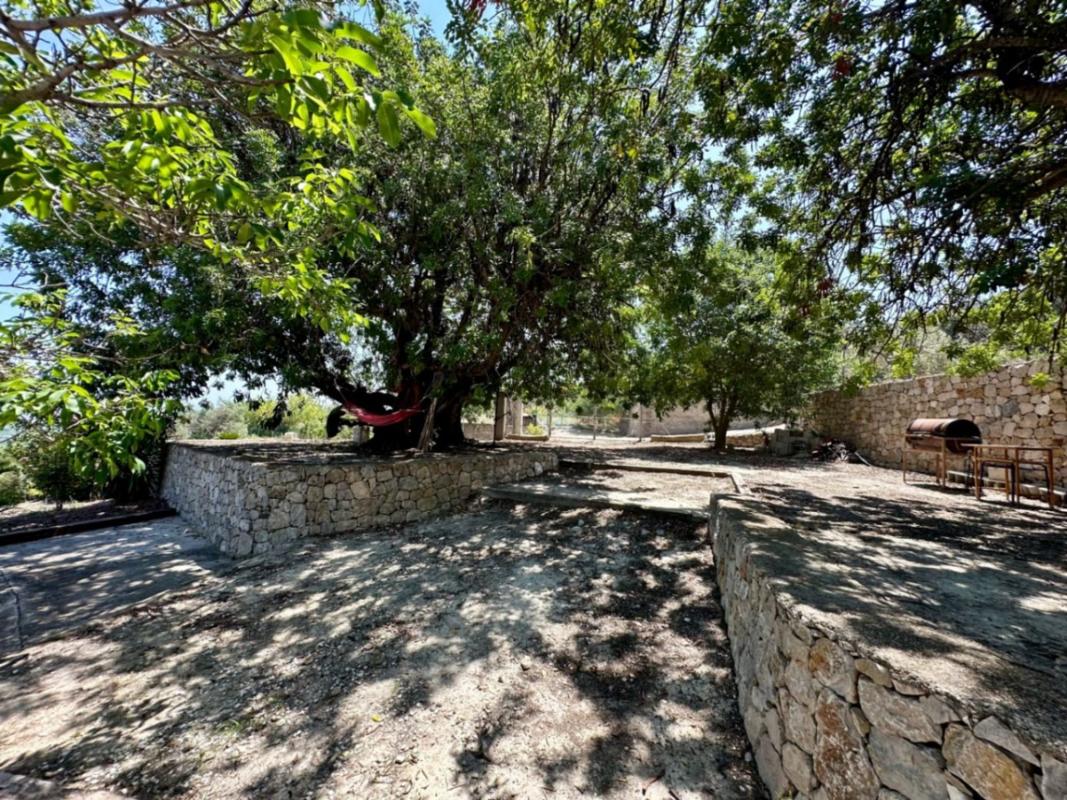 Sale of rural property in Finca rústica en Pego , Pego photo 5