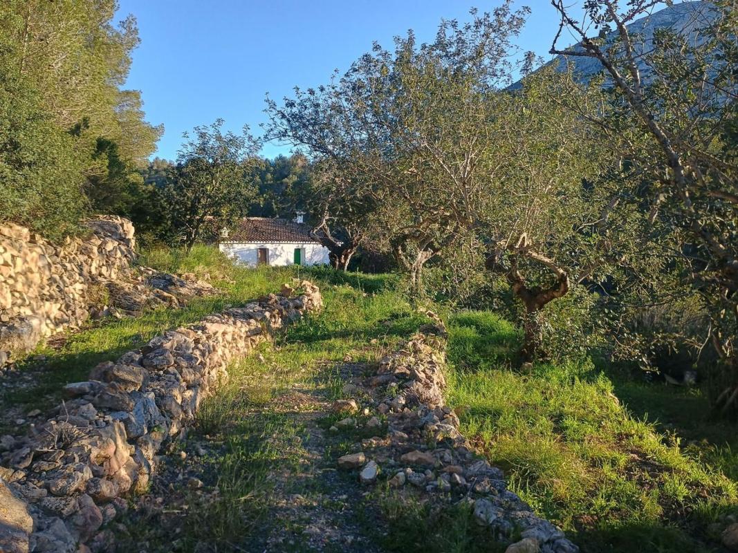 Venta de finca rústica en Finca rústica en Carretera de Colònia del Montgó, 8, El Montgó, Denia , Denia photo 1