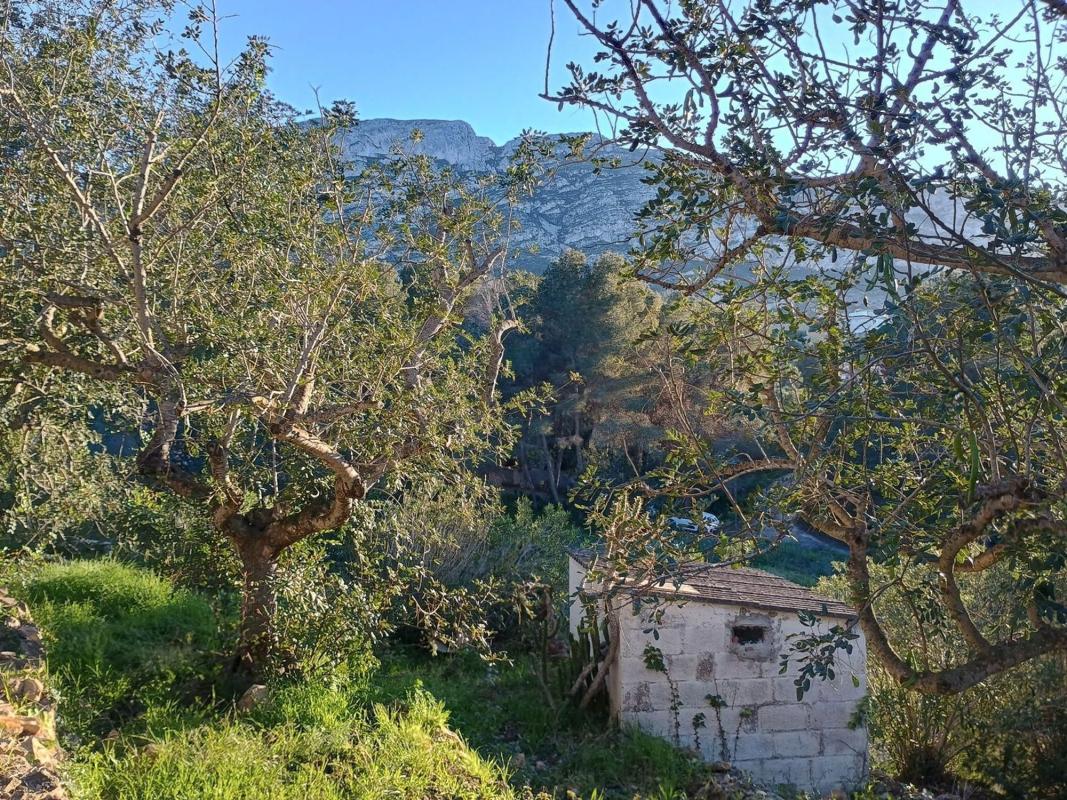 Venta de finca rústica en Finca rústica en Carretera de Colònia del Montgó, 8, El Montgó, Denia , Denia photo 2
