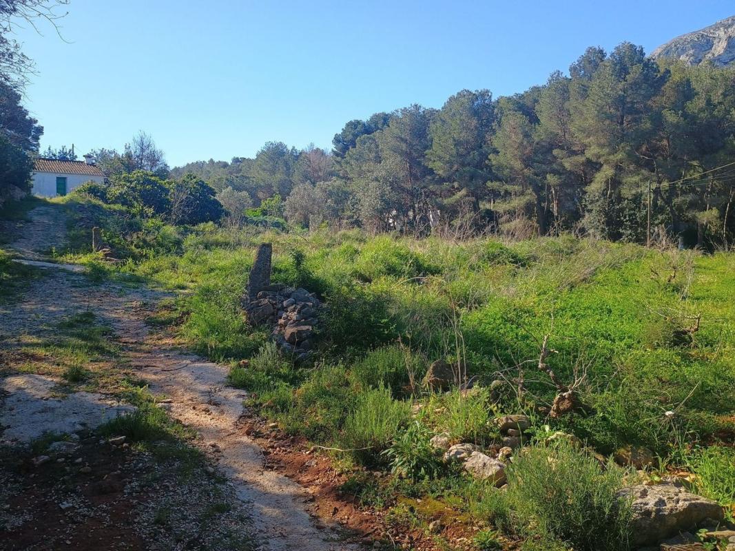 Venta de finca rústica en Finca rústica en Carretera de Colònia del Montgó, 8, El Montgó, Denia , Denia photo 3