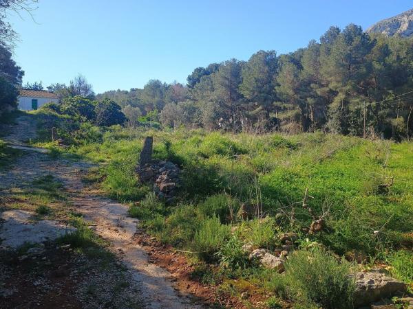 Finca rústica en venta en  Finca rústica en Carretera de Colònia del Montgó, 8, El Montgó, Denia , Denia photo 3