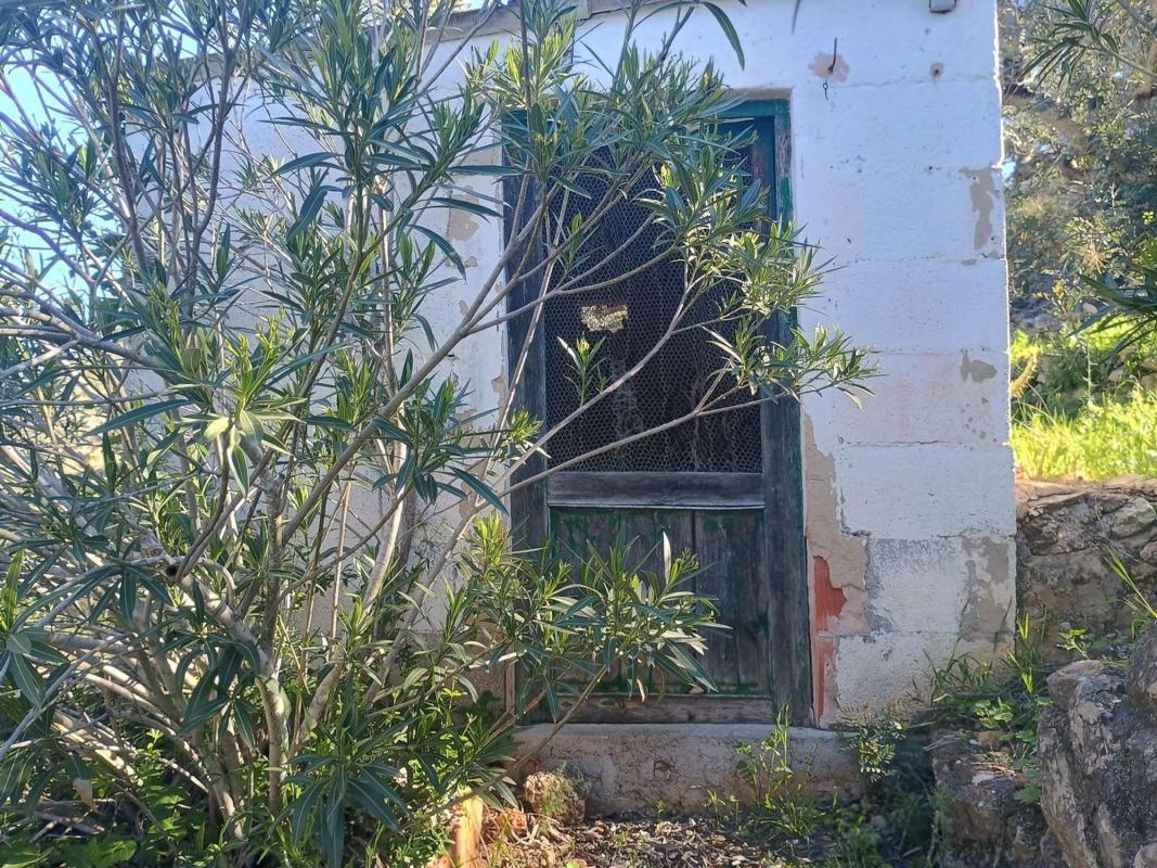 Venta de finca rústica en Finca rústica en Carretera de Colònia del Montgó, 8, El Montgó, Denia , Denia photo 4