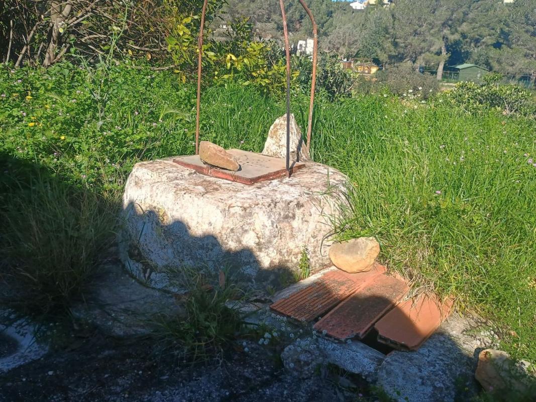 Venta de finca rústica en Finca rústica en Carretera de Colònia del Montgó, 8, El Montgó, Denia , Denia photo 5