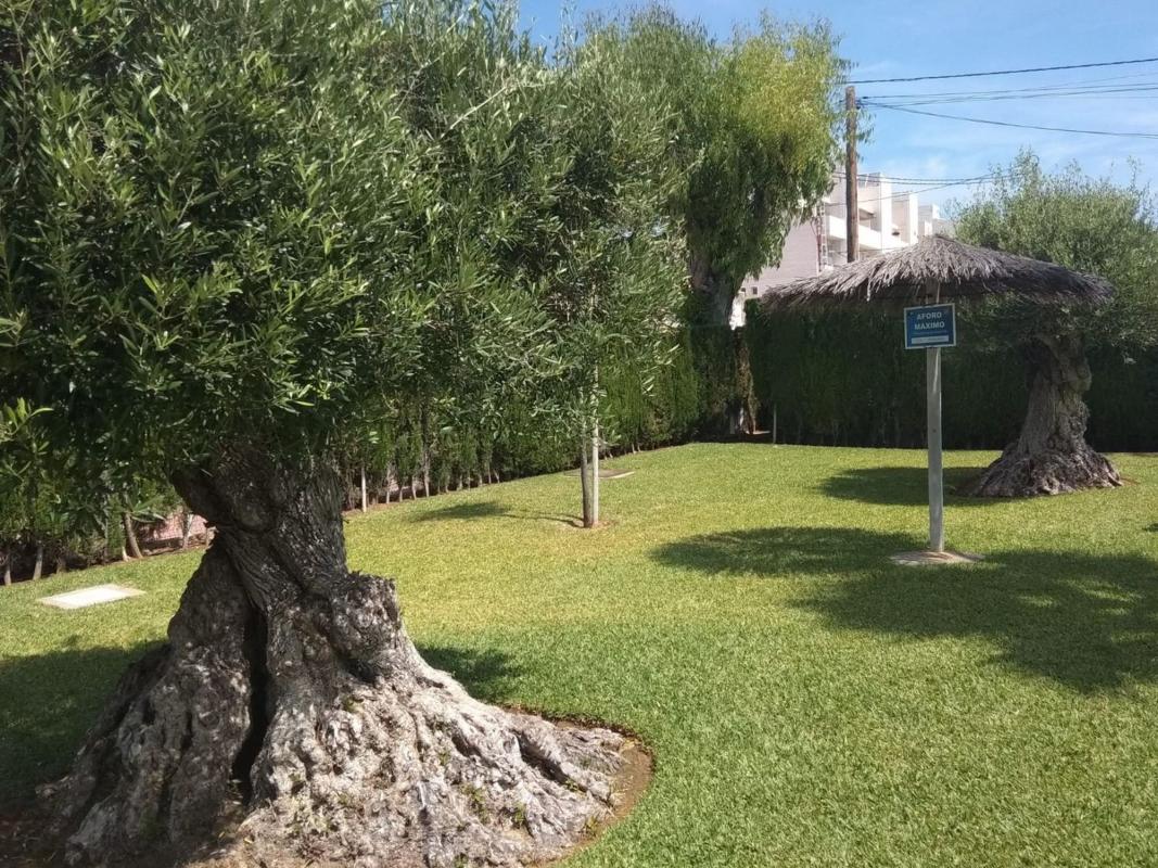 Venta de piso en Piso en Carretera de les Marines a Dénia, Les Bassetes-El Marjal, Denia, Denia
photo 4