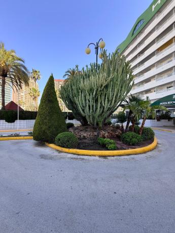 Duplex na sprzedaż w Dúplex en Calle Ponent, 3, Playa de Fossa-Levante, Calpe, Kalpe thumbnail 2