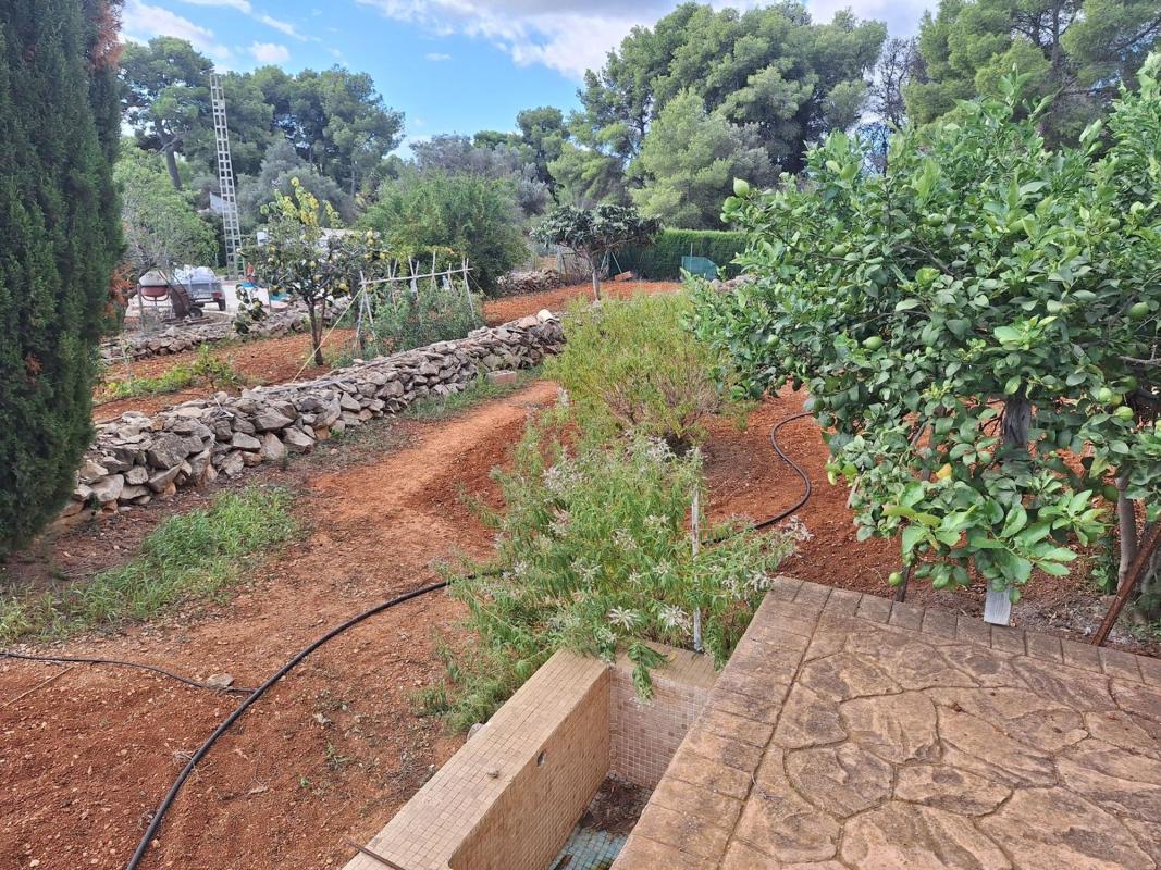 Venta de finca rústica en  Finca rústica en Carretera del Cap de Sant Antoni, Puerto, Jávea/Xàbia , Jávea/Xàbia photo 3