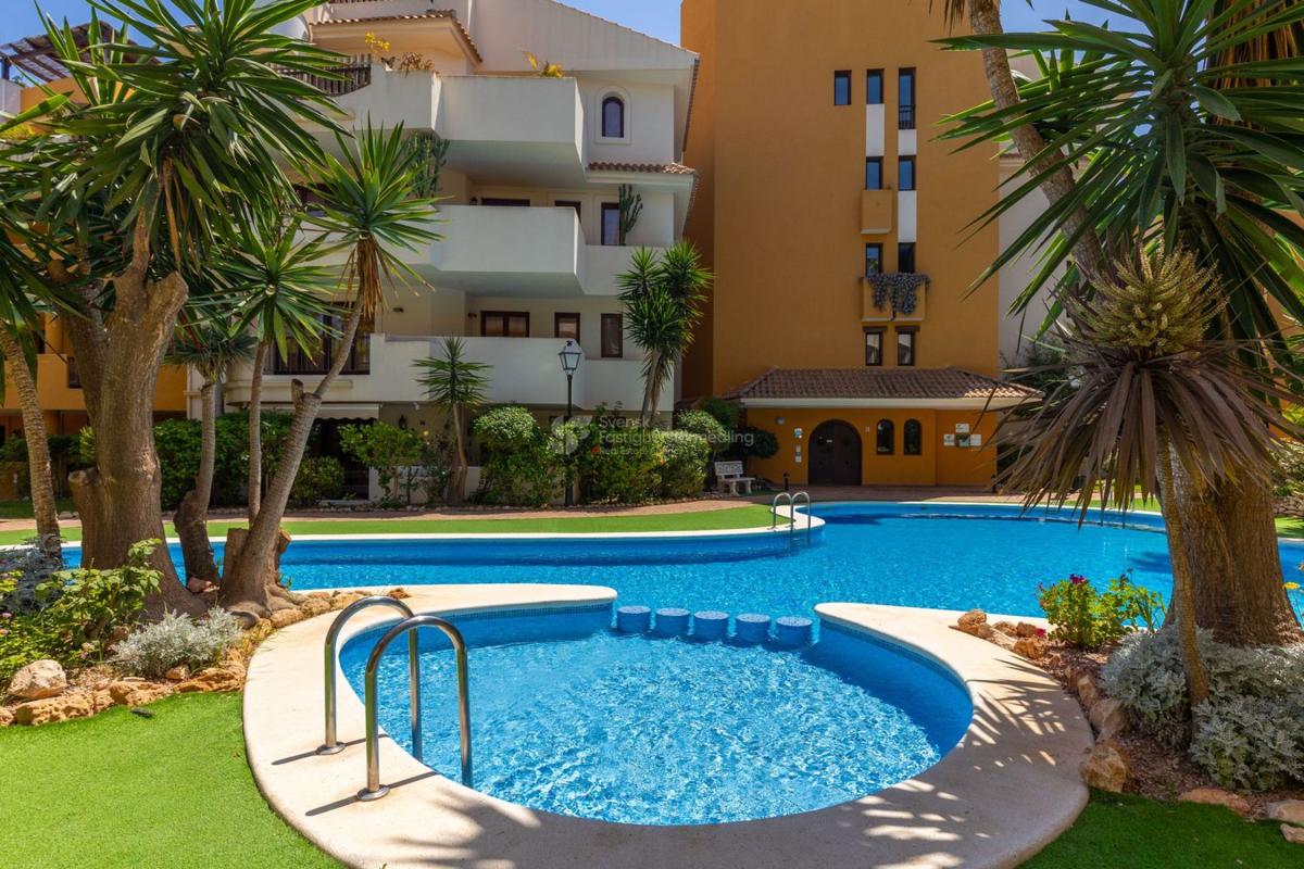 Sale of apartment in Piso en Calle Mar Gruesa, Punta Prima, Torrevieja, Torrevieja
 photo 4