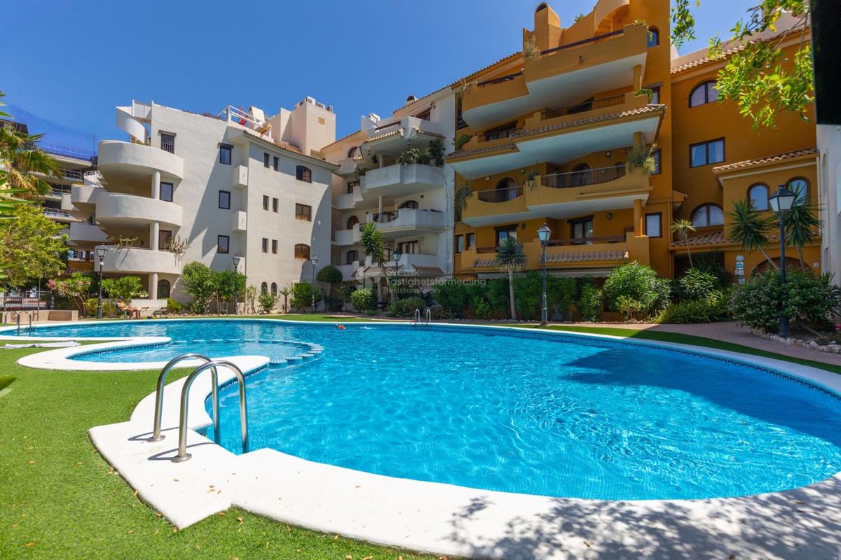 Sale of apartment in Piso en Calle Mar Gruesa, Punta Prima, Torrevieja, Torrevieja
 photo 5