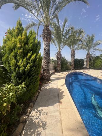 Casa o chalet independiente en La Marina, Elche / Elx thumbnail 1