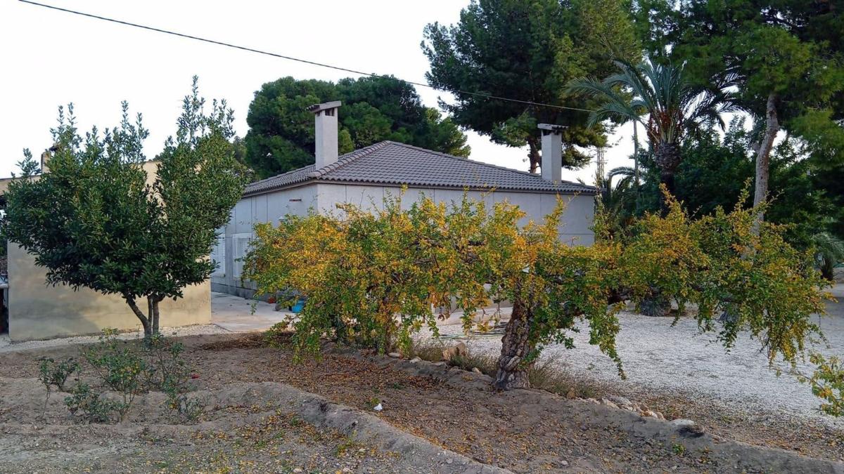 Propiedades en venta y alquiler en España photo 2