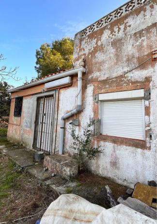 Finca rustykalna na sprzedaż w Finca rústica en Partida Monterroig, 3, Centro, Pedreguer , Pedreguer thumbnail 2
