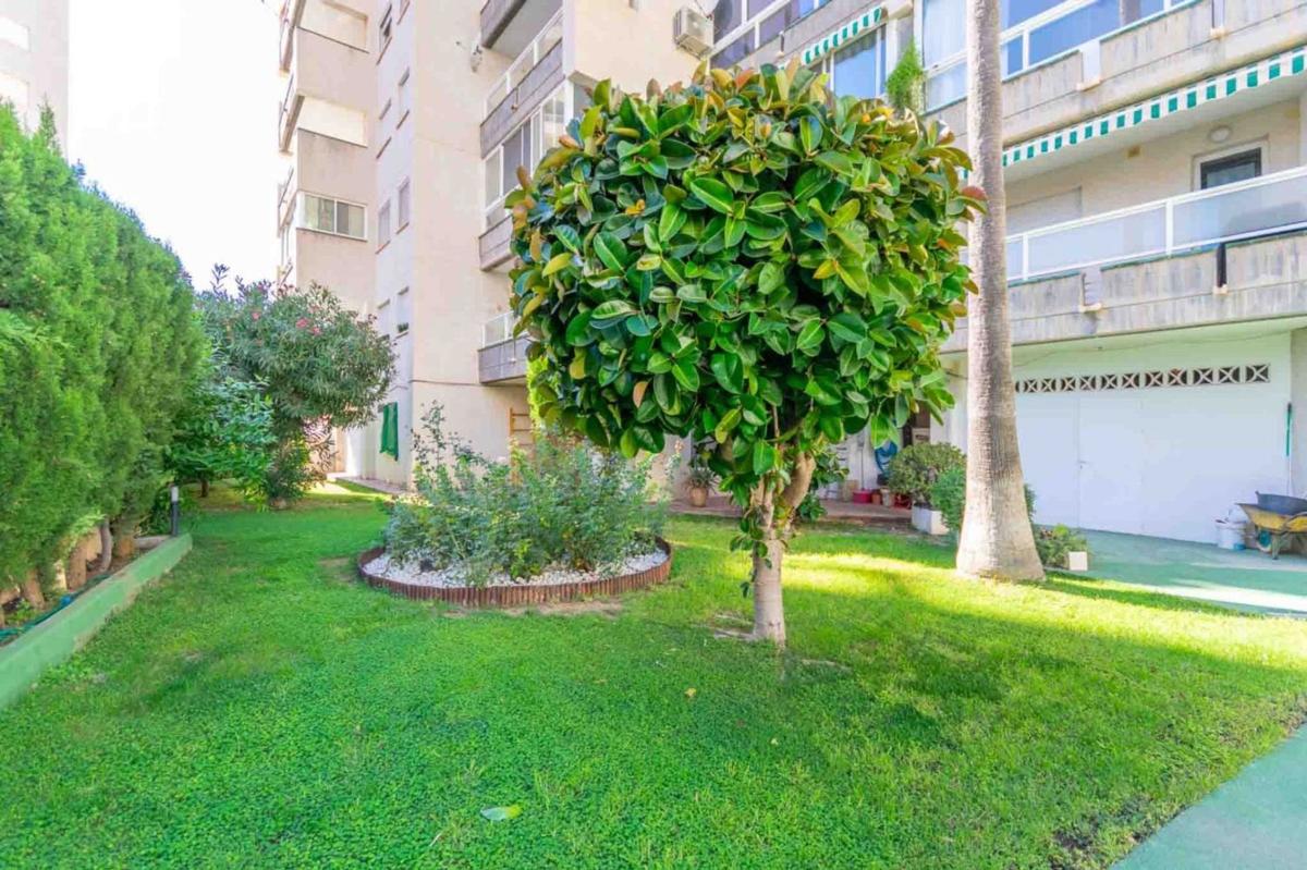 Продажа квартиры на Piso en Avenida Rosa de los Vientos, Playa de Fossa-Levante, Calpe, Кальпе
 photo 4