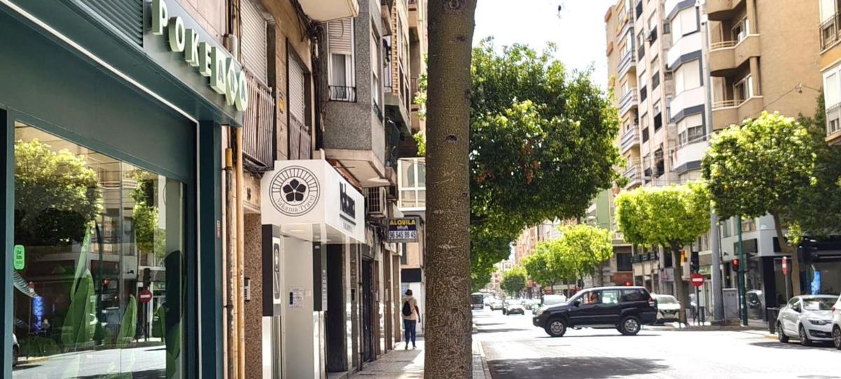 Propiedades en venta y alquiler en España photo 3