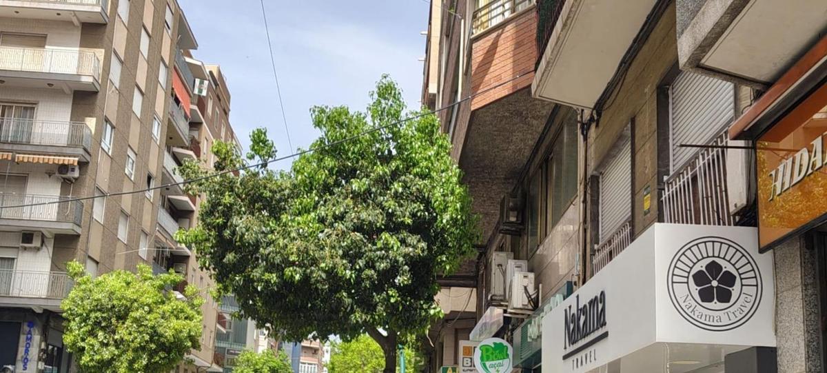 Propiedades en venta y alquiler en España photo 4
