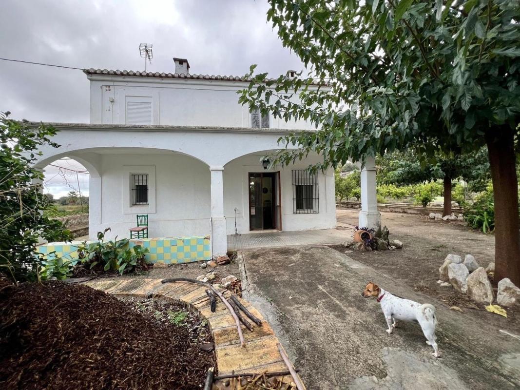 Sprzedaż działki rolnej w Finca rústica en Pego , Pego photo 1
