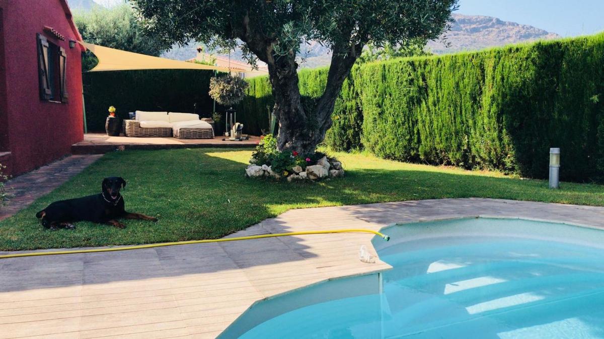 Properties for sale and rent in Spain photo 5