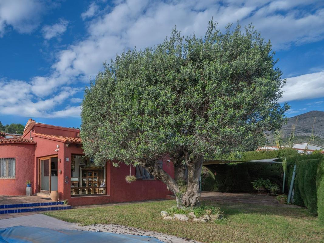 Properties for sale and rent in Spain photo 1