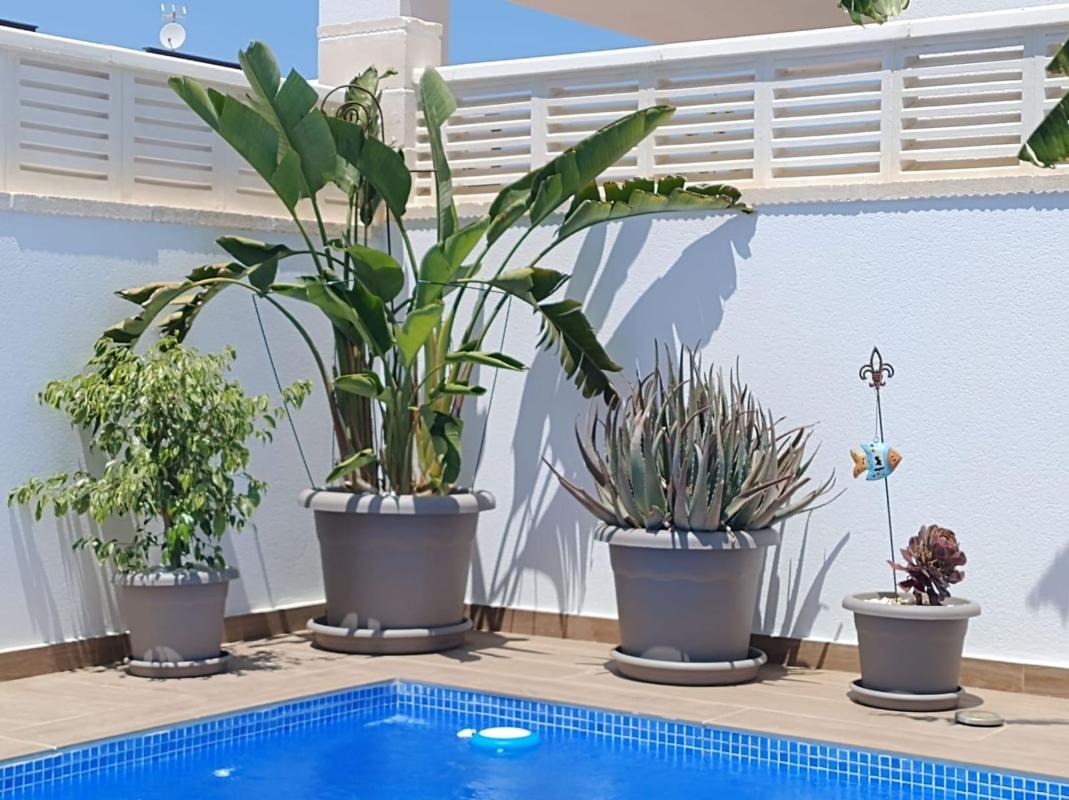 Properties for sale and rent in Spain photo 3