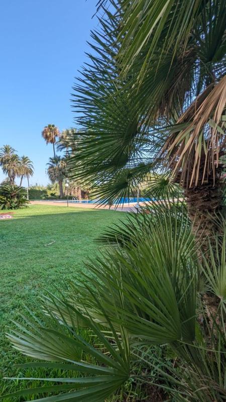 Sale of apartment in Piso en Centro Urbano, Denia, Denia
photo 2