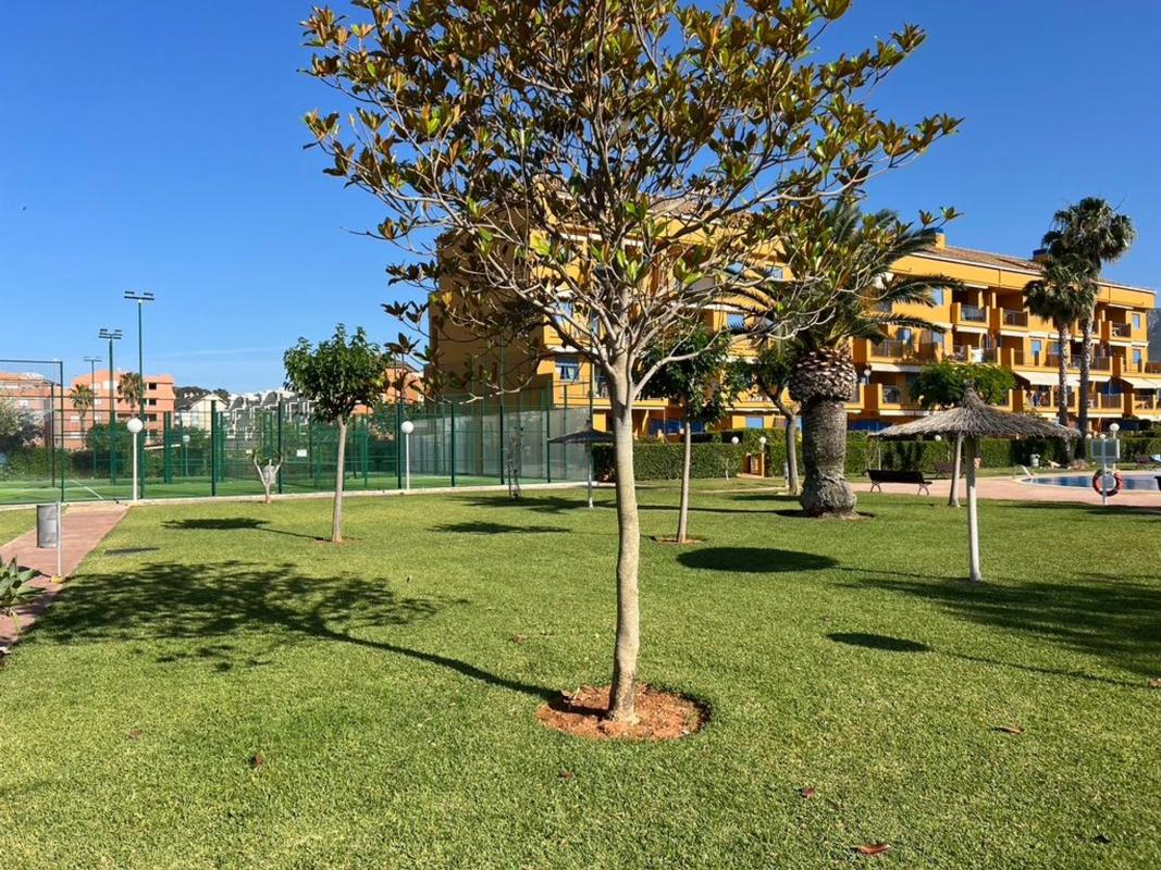 Venta de duplex en Dúplex en Les Bassetes-El Marjal, Denia, Denia photo 1
