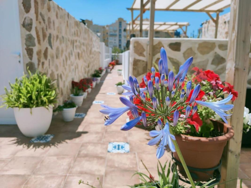 Edificio Residencial de 840m2 en venta en Calpe photo 3