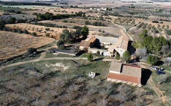 Finca rústica en venta en  Finca rústica en Avenida Constitución, La Paz, Villena , Villena photo 1