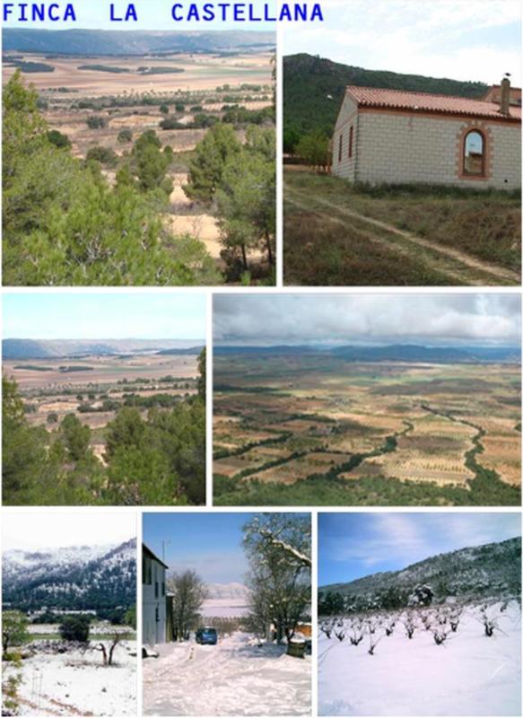 Venta de finca rústica en  Finca rústica en Avenida Constitución, La Paz, Villena , Villena photo 3