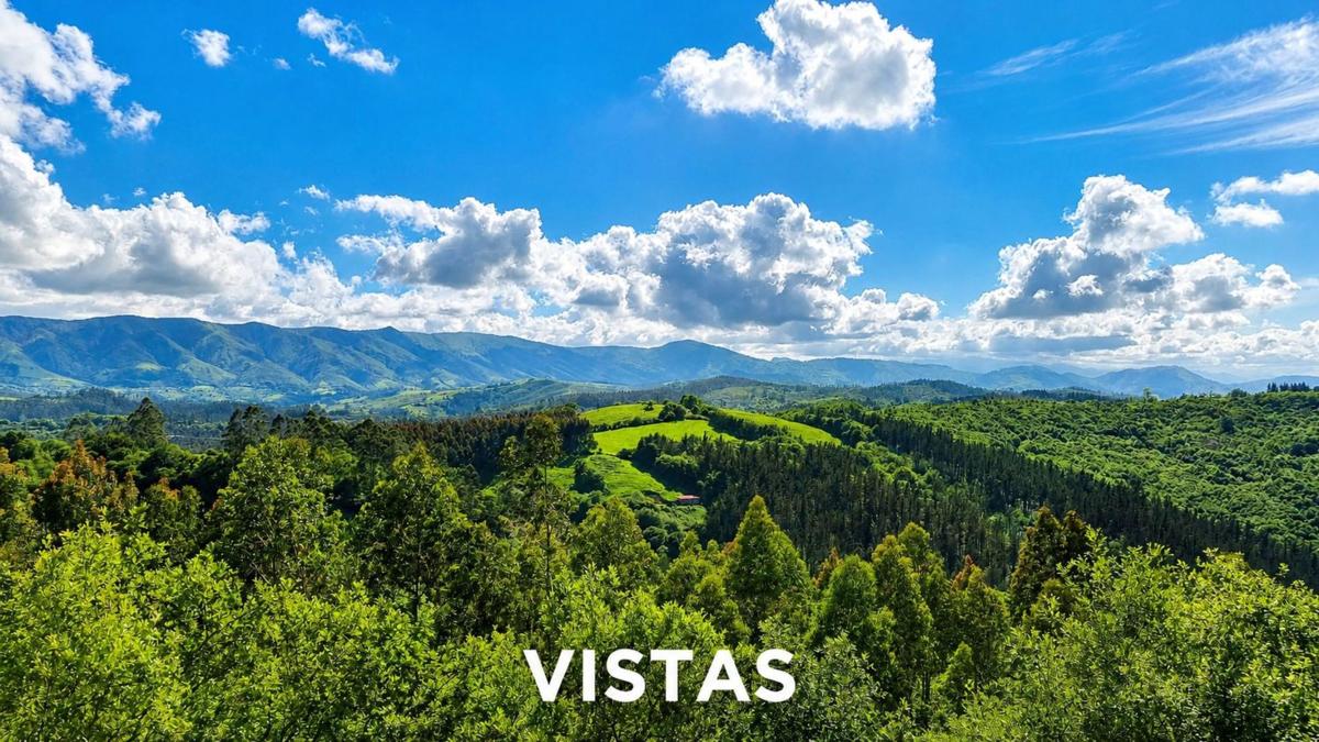 Propiedades en venta y alquiler en España photo 5