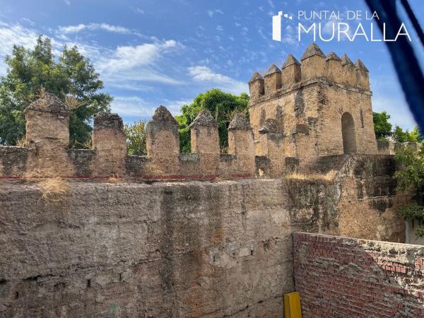 Sprzedaż mieszkania w Piso en Sol, 116, Puerta Carmona-Puerta Osario-Amador de los Ríos, Sevilla, Sewilla
 photo 4