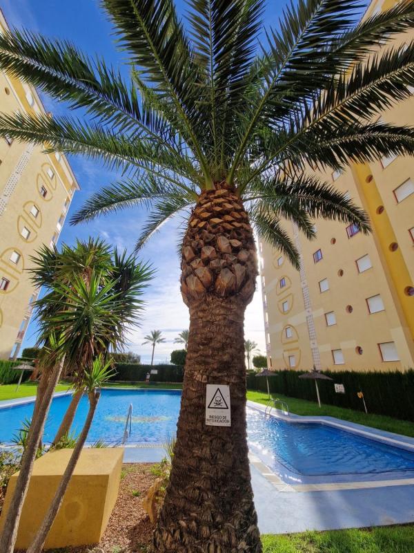 Продажа квартиры на Piso en Avenida Tellerola, Platja Vila Joiosa, La Villajoyosa / Vila Joiosa, Ла Виллахойоса / Вила Хойоса
photo 2